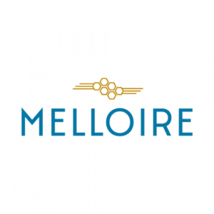 Melloire_zero21 accelerarion program