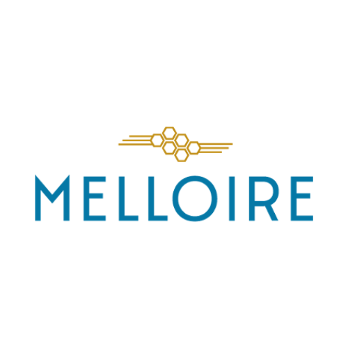 Melloire_zero21 accelerarion program